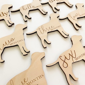 Dog Nursery Labrador Monthly Milestone Plaques | Baby Shower Gift | Custom Labrador Newborn Baby Gift for Dog Nursery | Dog lover Gift