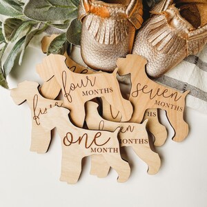Dog Nursery Schnauzer Monthly Milestone Plaques | Baby Shower Gift | Custom Schnauzer Dog Newborn Baby Gift for Dog Nursery