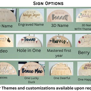 One Year of Baby Photo Board, Daisy Boho Retro First Birthday Photo Arch, Baby 1st Birthday Wood Sign, Daisy Party Decoration