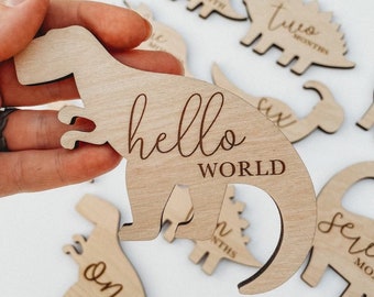 Wooden Monthly Milestone Dinosaur Signs For Baby Photos | Monthly Milestone Marker | Baby Gift | Dinosaur Milestone Cards | Dinosaur Nursery