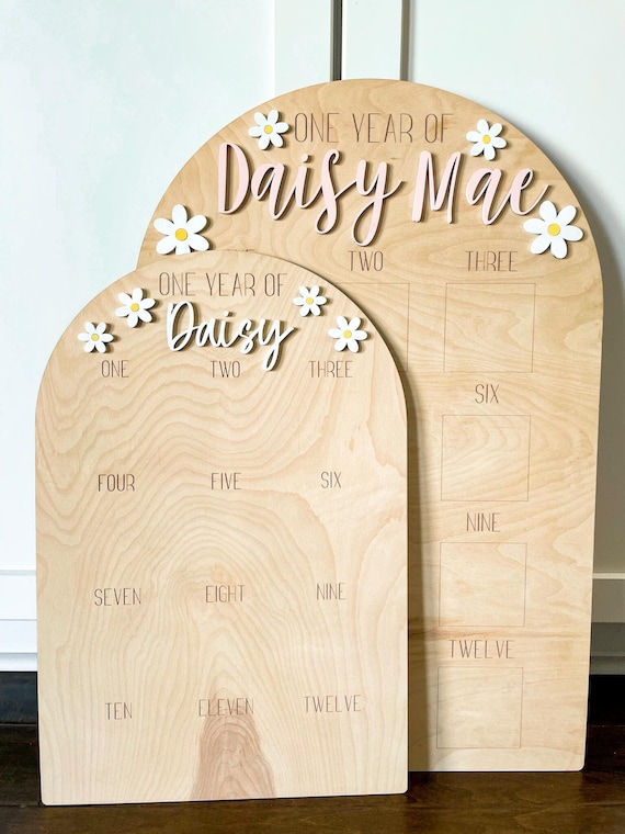 One Year of Baby Photo Board, Daisy Boho Retro First Birthday Photo Arch, Baby 1st Birthday Wood Sign, Daisy Party Decoration