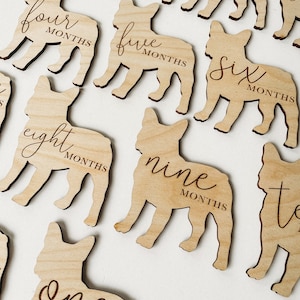 Dog Nursery Frenchie Monthly Milestone Plaques | Baby Shower Gift | Custom Frenchie Newborn Baby Gift for Dog Nursery Dog sibling Baby Gift