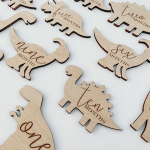 Dinosaur Monthly Milestone For Baby Photos | Monthly Milestone Marker | Dinosaur Theme Baby Gift | Dinosaur Milestone | Dino Nursery Theme