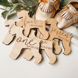 Dog Nursery Schnauzer Monthly Milestone Plaques | Baby Shower Gift | Custom Schnauzer Newborn Baby Gift for Dog Nursery | Dog Mom Gift