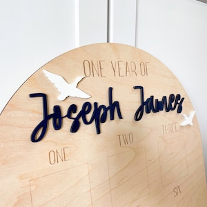 One Lucky Duck First Birthday Milestone Board, First Birthday Photo Arch, 1st Birthday Wood Sign Unique First Birthday Gift Custom Baby gift