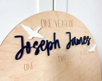 One Lucky Duck First Birthday Milestone Board, First Birthday Photo Arch, 1st Birthday Wood Sign Unique First Birthday Gift Custom Baby gift