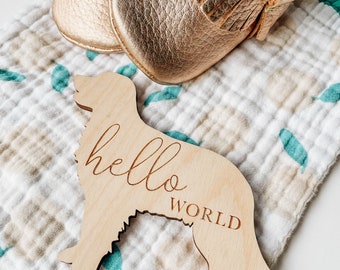 Dog Nursery Golden Retriever Monthly Milestone Plaques | Baby Shower Gift | Custom Golden Retriever Newborn Baby Gift for Dog Nursery