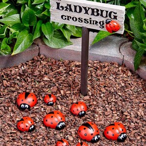 Ladybug Painted Rocks for Father’s Day Gift Garden Decor