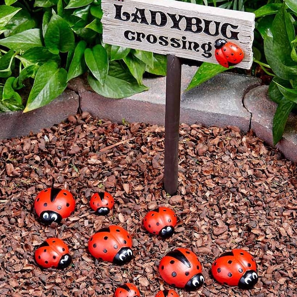 Ladybug Painted Rocks for Father’s Day Gift Garden Decor