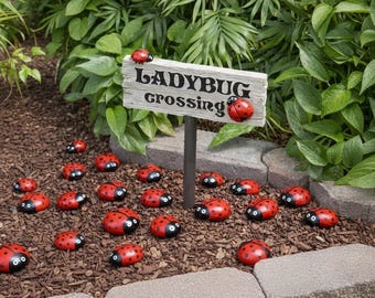 Ladybug Painted Rocks Set of 5 Large | Hand Painted Garden Decor | Outdoor Ladybug Stones | Cute Yard Art | Garden Gift | Painted Rock Decor