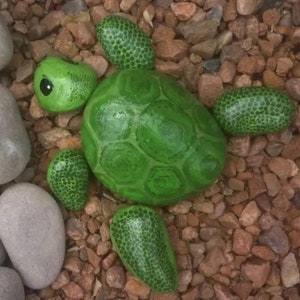 Hand Painted Rocks- Turtle (Set of 6 Rocks)