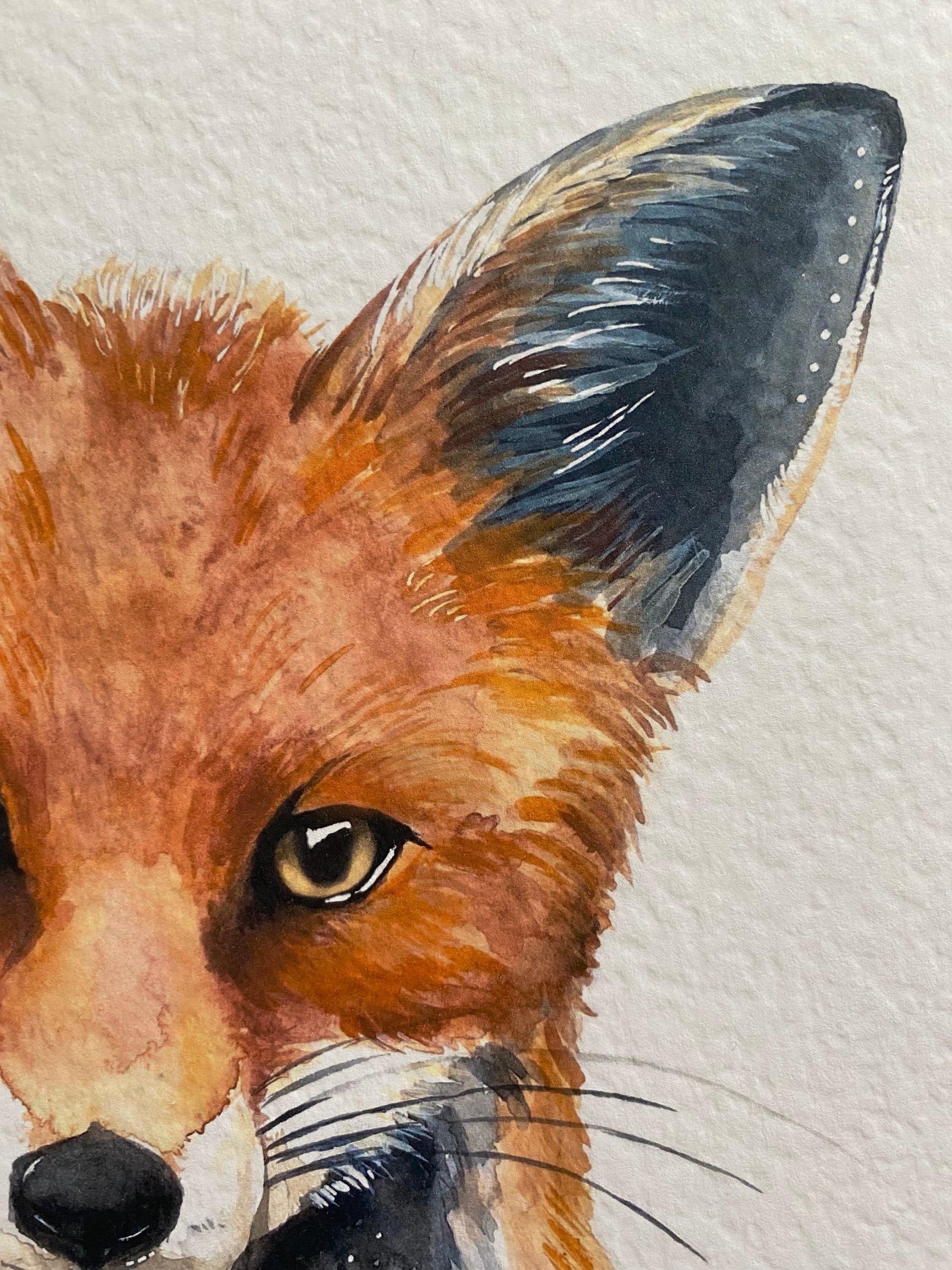 Fox watercolour giclee high quality A4 art prints fox lover Etsy