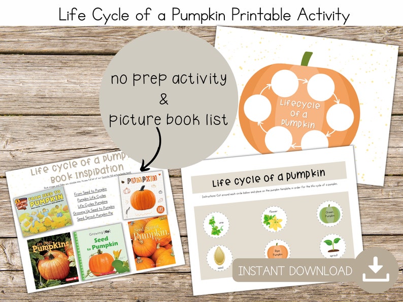 Life Cycle of a Pumpkin Easy Pumpkin Craft for Kids Pumpkin image 3
