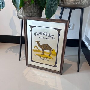 camel cigarettes oasis app Weast Coast Games  Weast Coast Studio