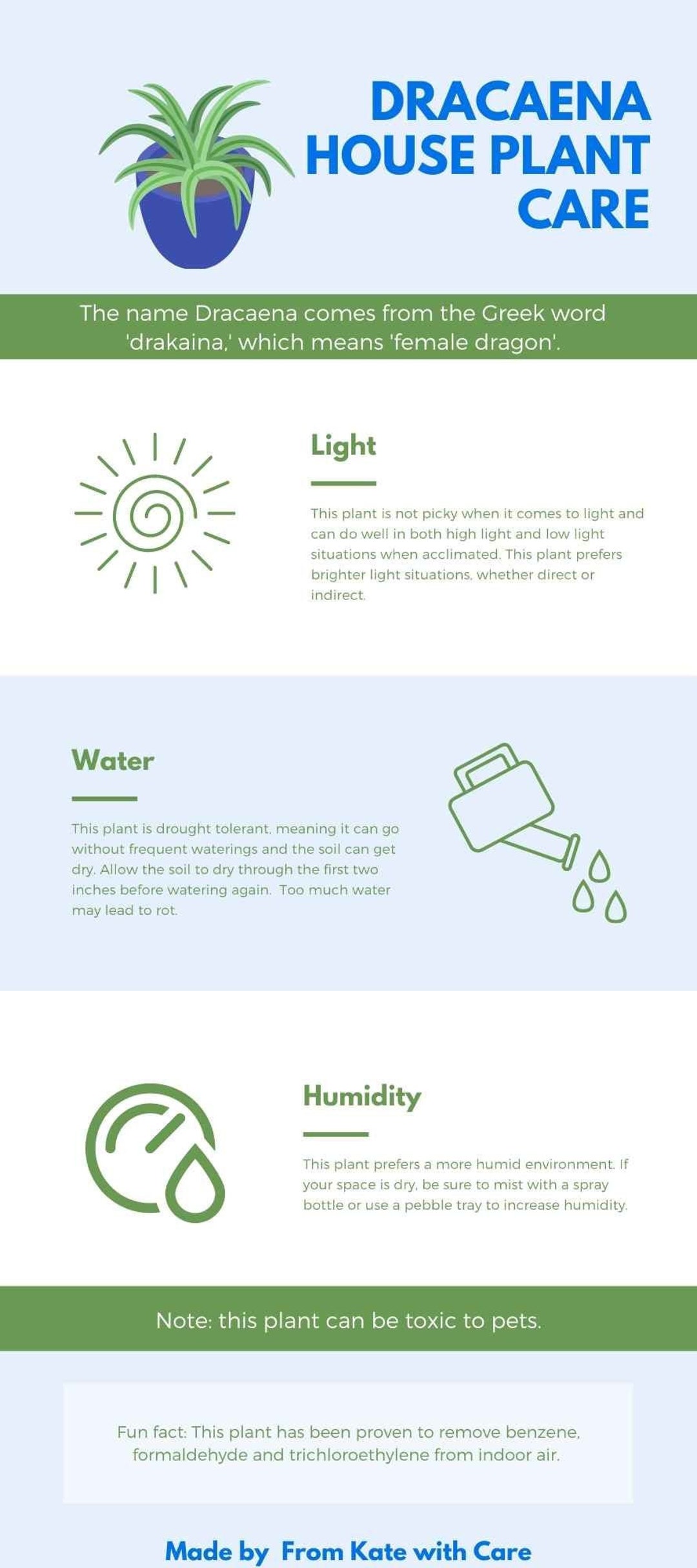 Dracaena Houseplant Care Guide - Etsy