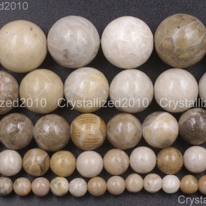 Natural Coral Fossil Gemstones Smooth Round Ball Spacer Loose Beads 4mm 6mm 8mm 10mm 12mm 15.5&quot; Strand