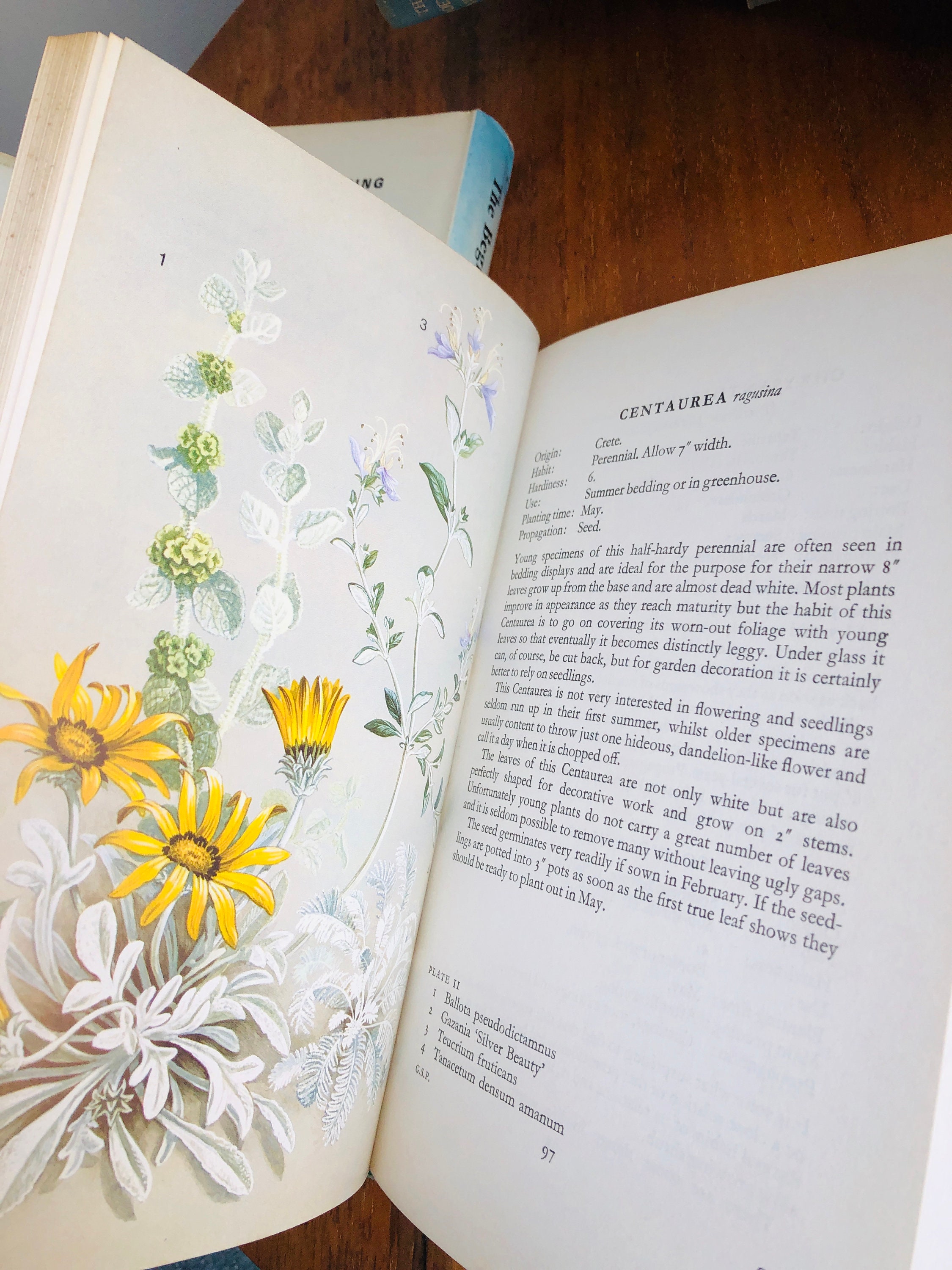 Plant Books House Plants Beginners Guide to Pot plants Grey Etsy