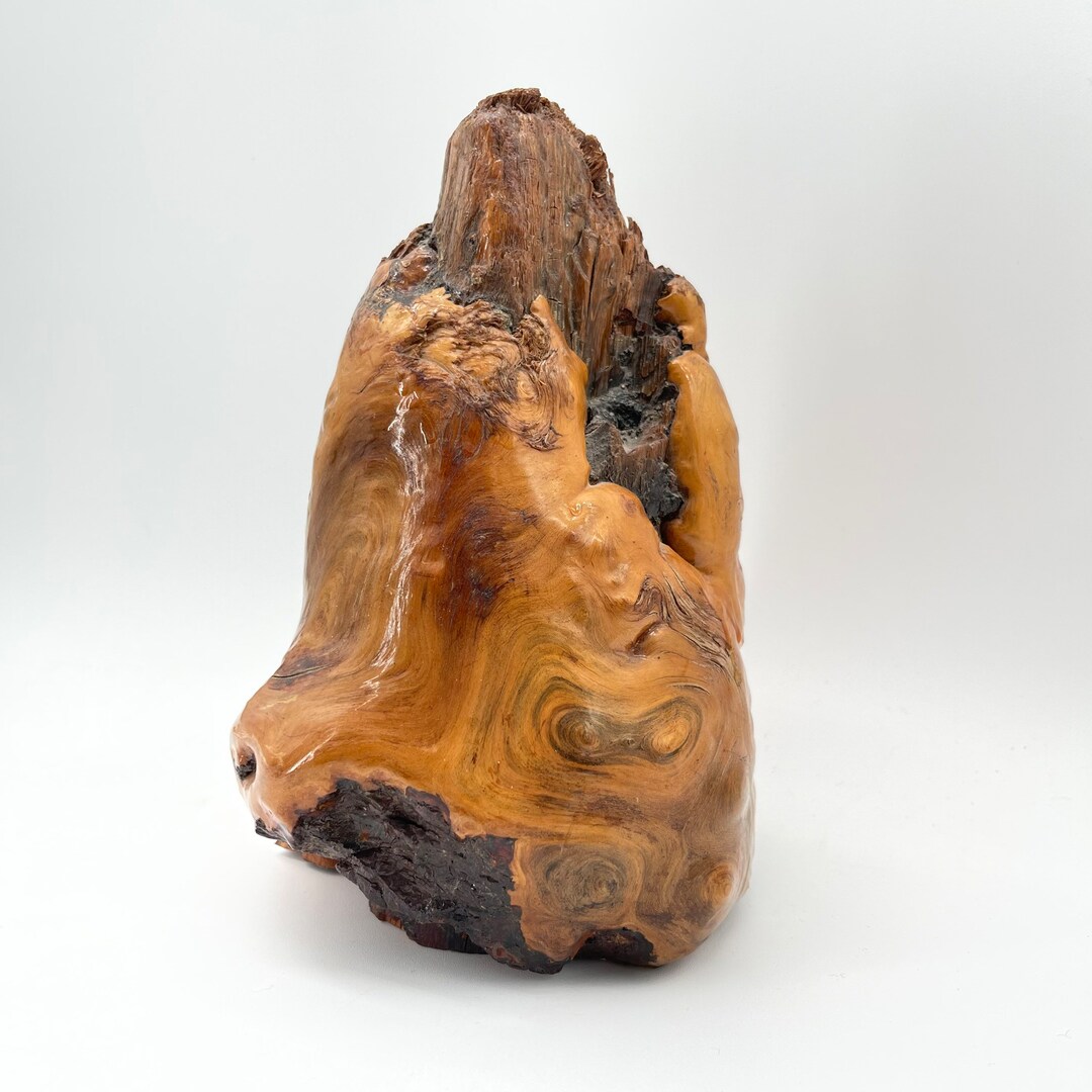 Burl Wood Sculpture / Root Art Piece / Sculpture of Burl Wood Etsy