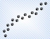 Paw svg Dog paw footprint svg Paw dog svg Paw prints svg Pet svg Paw cut file Paw dog file for Cricut Paw prints cut file Dog paw vector