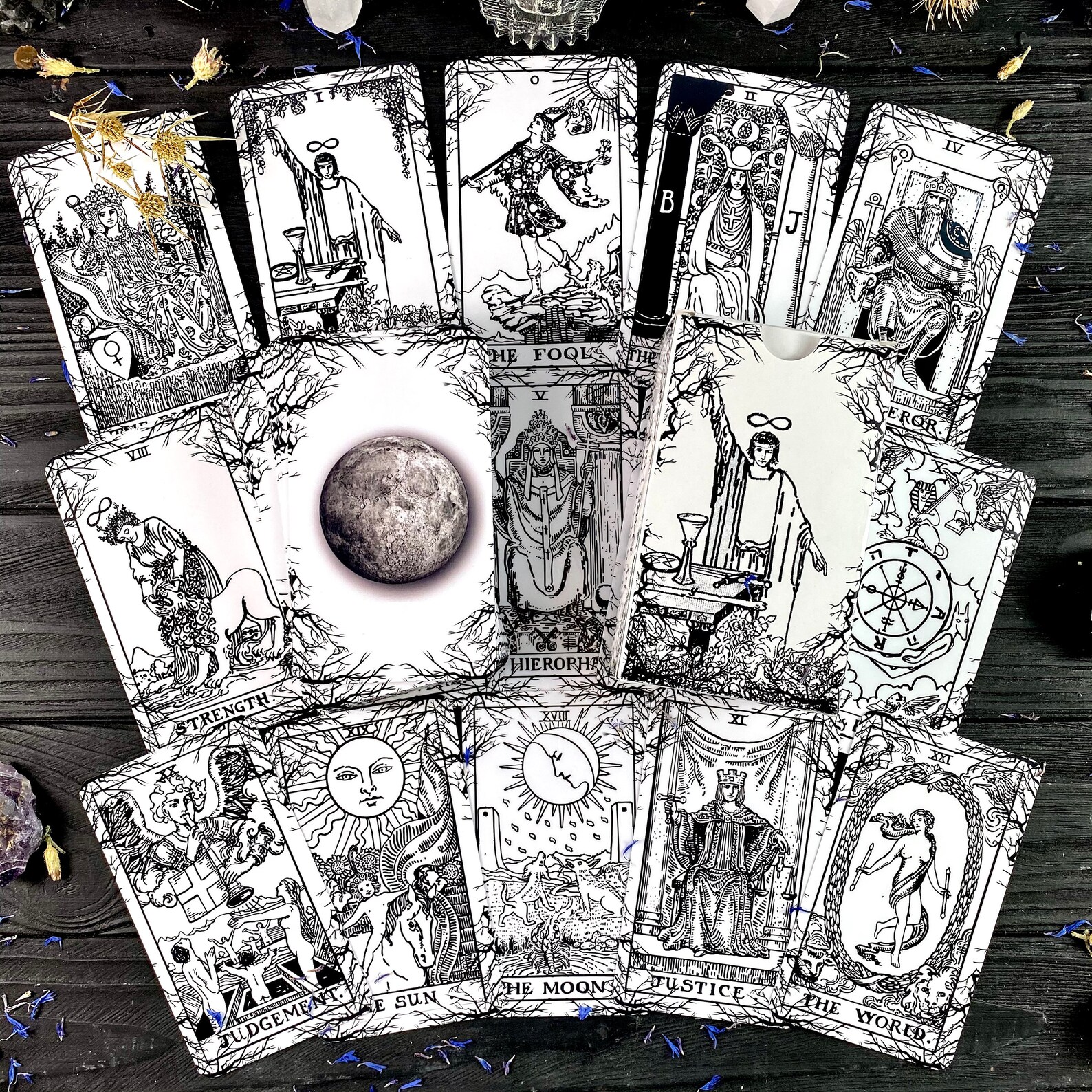 Tarot Deck Cards Dark Forest Plastic Tarot Cards 78 Gift Set Etsy