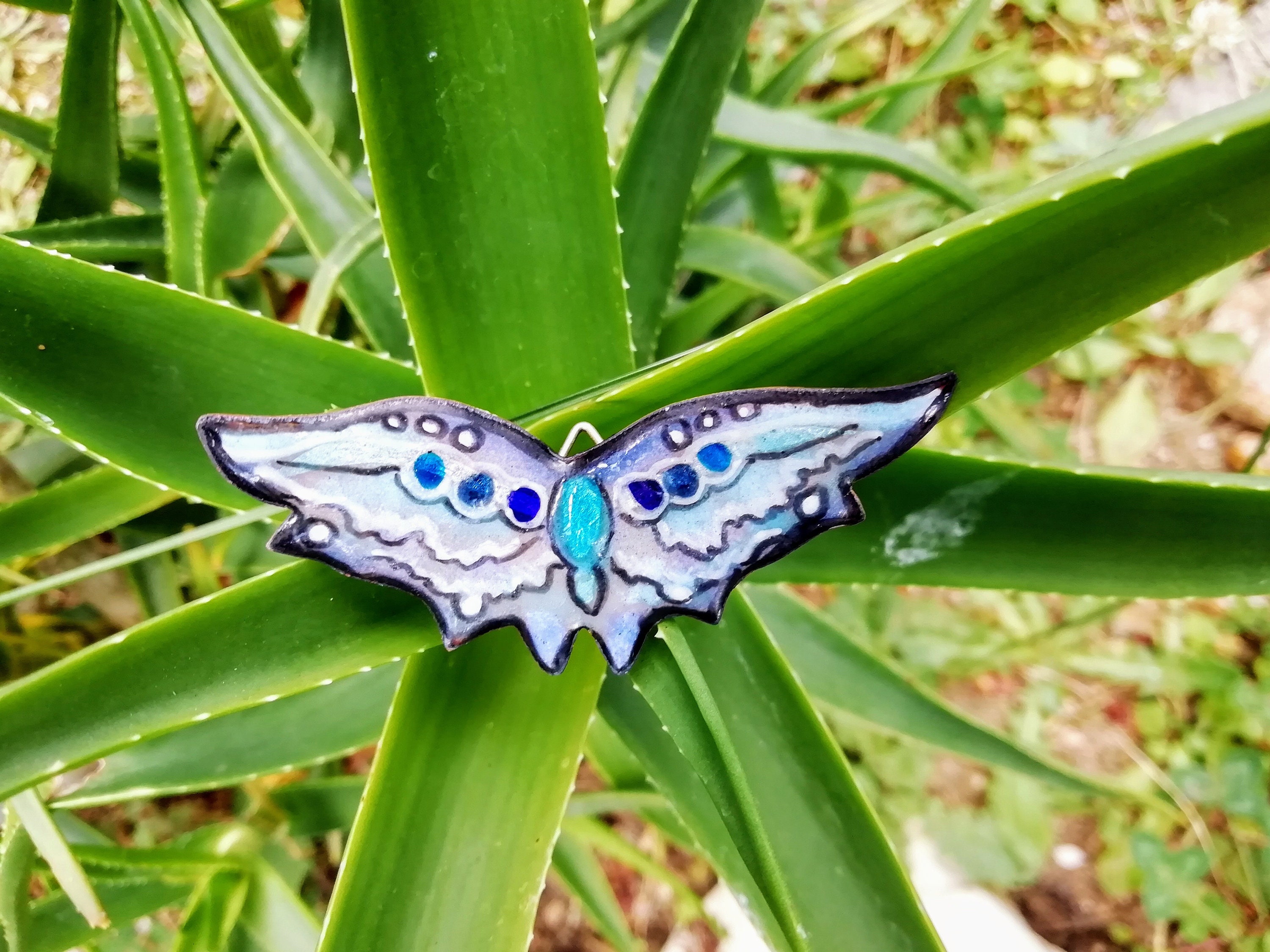 Papillon Azur