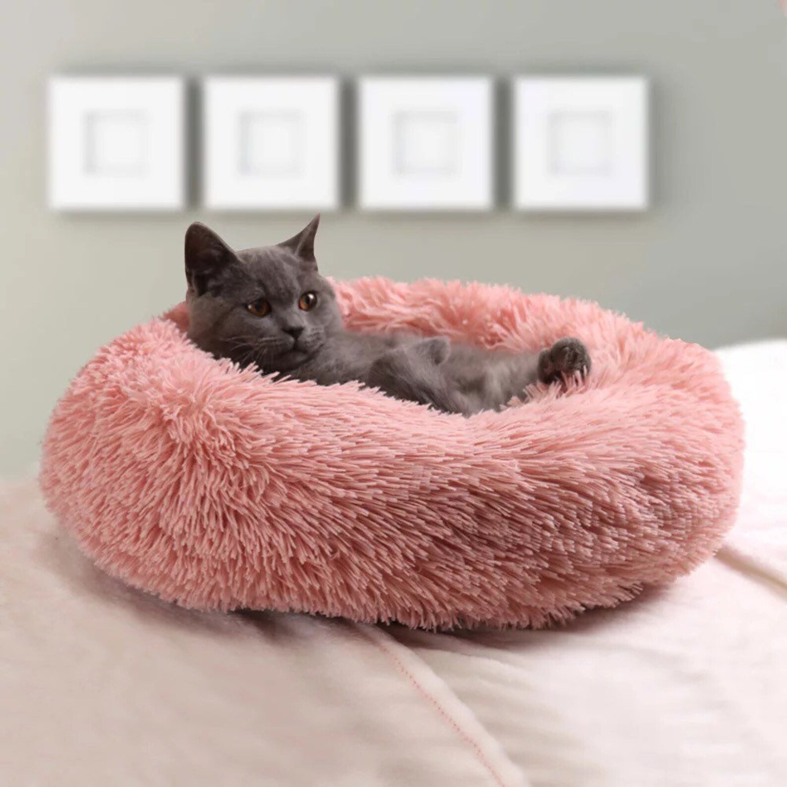 Super Soft Cat Dog Bed Round Fluffy Cat Sleeping Basket Etsy