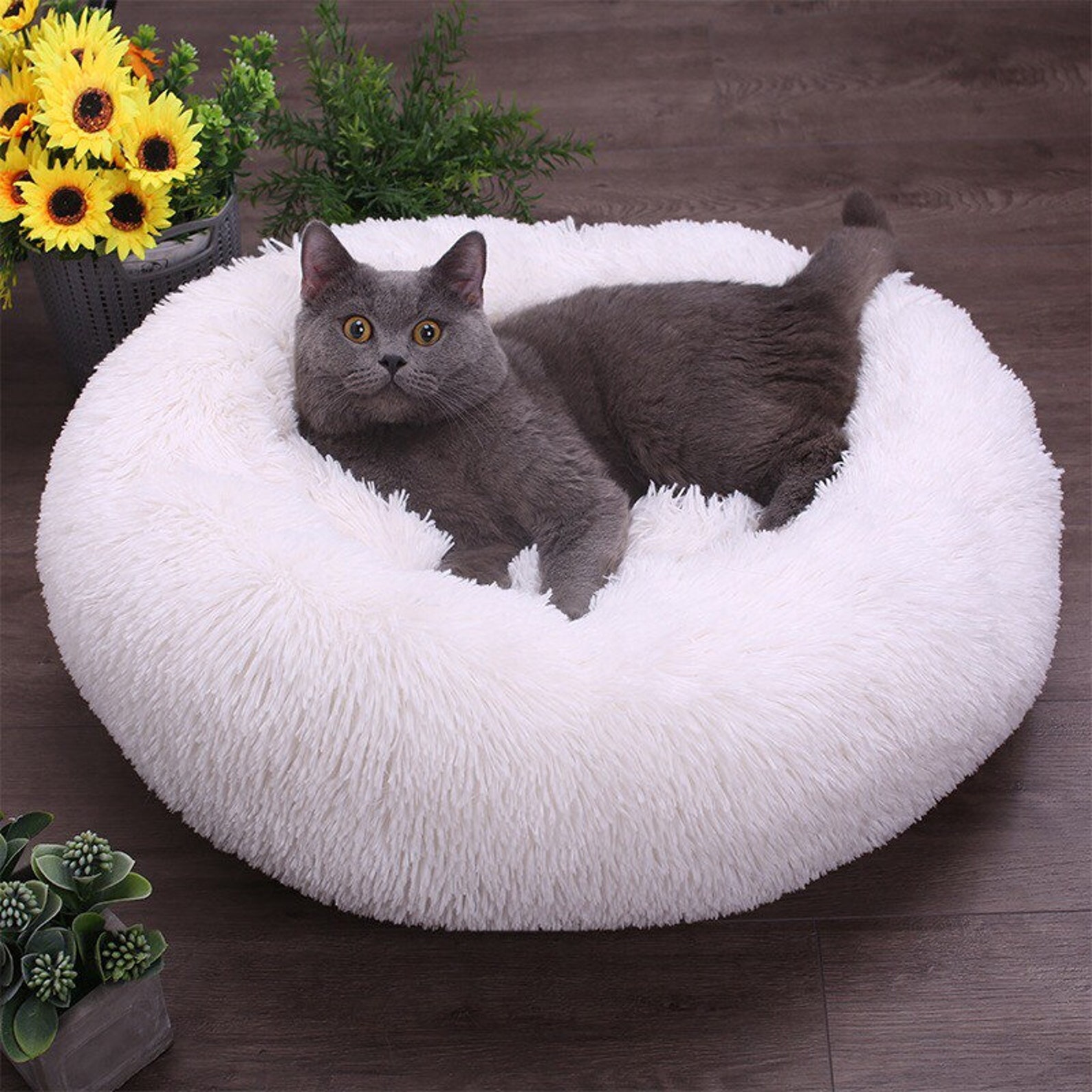 Super Soft Cat Dog Bed Round Fluffy Cat Sleeping Basket Etsy