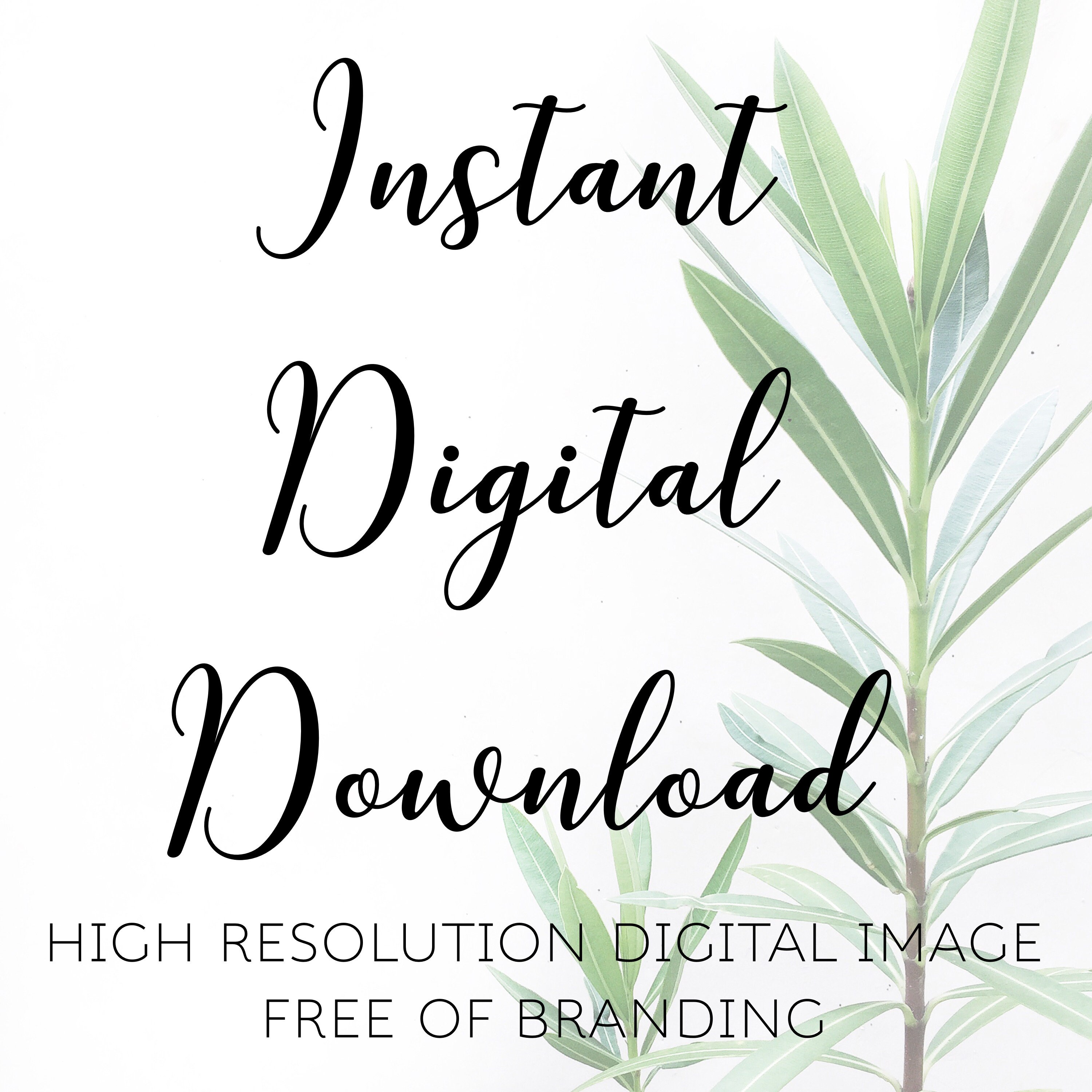 Download Maqueta de café Mockups / Mug Mockup / Coffee Mug Mockup / | Etsy