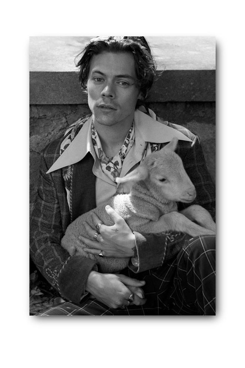 Harry Styles Black And White Poster