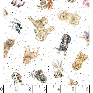 Whiskers and Paws - Dogs - Cotton Fabric
