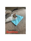 Refillable Catnip Cat Mat