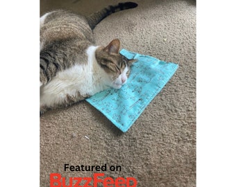 Refillable Catnip Cat Mat