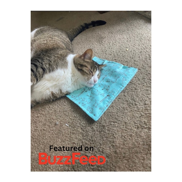 Refillable Catnip Cat Mat