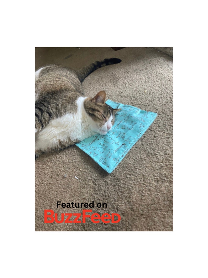 May include: A tabby cat with white patches lies on a light blue, patterned pet bed. The cat is on a carpeted surface. The text "Featured on Buzzfeed" is visible.