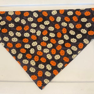 Pumpkins over the collar bandana