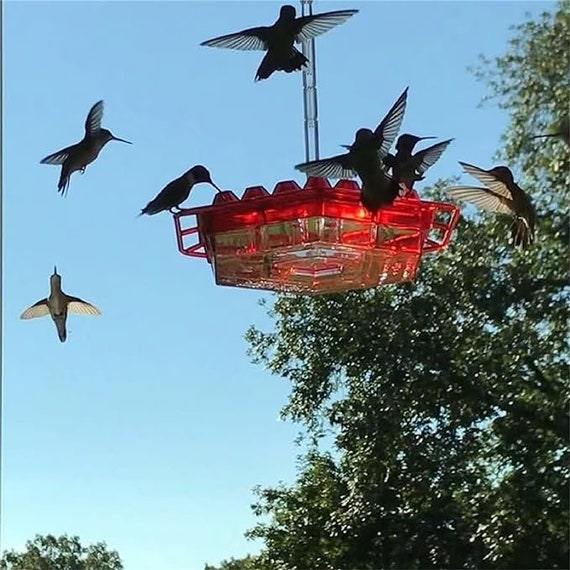 Hummingbird Feeders for Outdoors Bee Proof (Red) / Free  USA Shipping