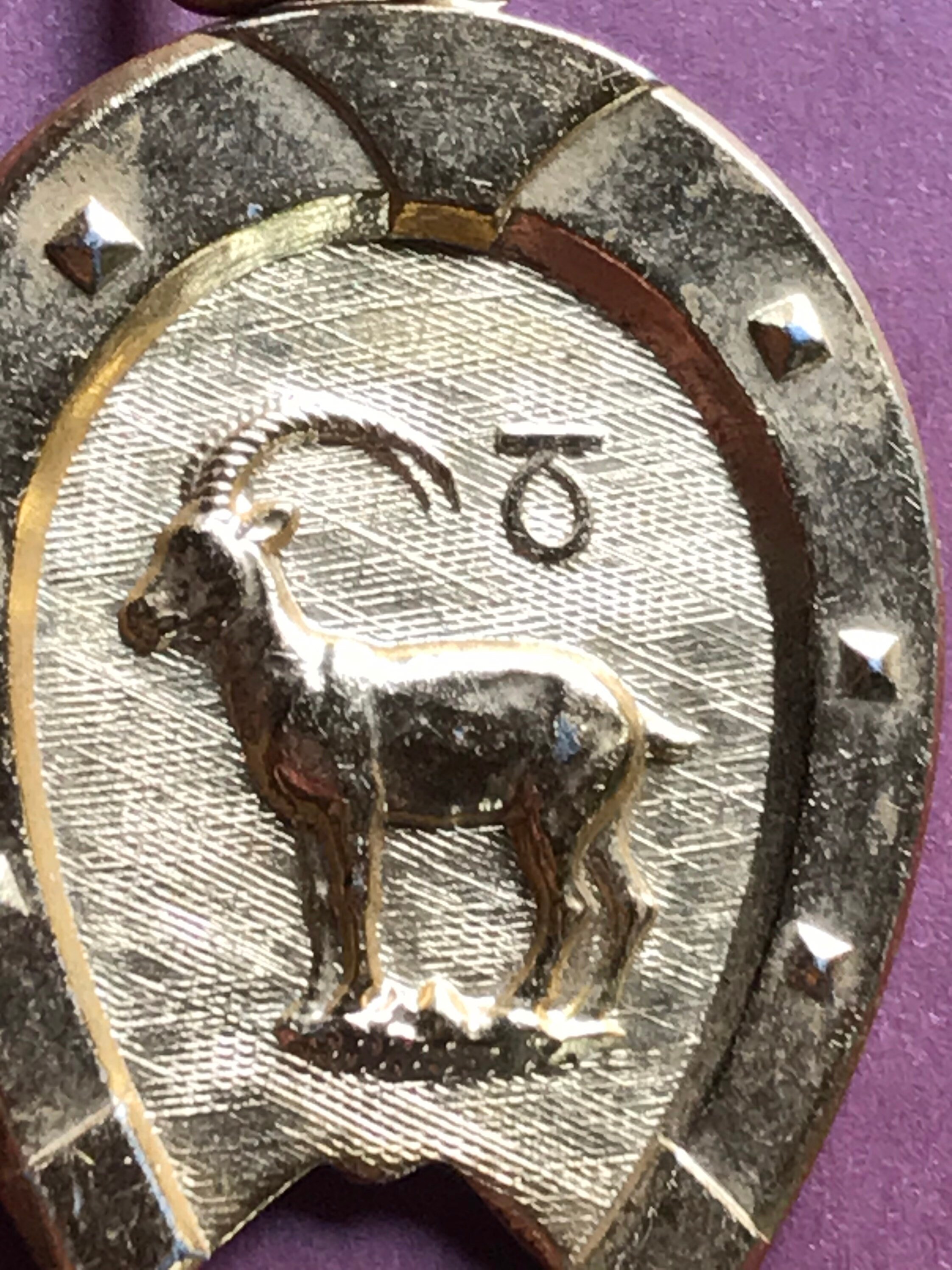 Vintage French Equestrian Horseshoe Astrological Sign Etsy