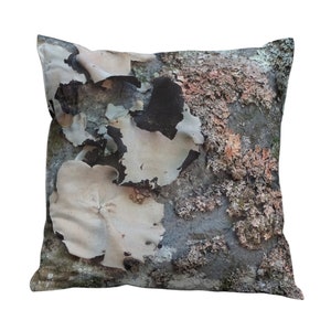 Reversible Pillow Covers, High End Pillows, Neutral Couch Pillows, Nature Pillows with Lichen Design, Indoor Outdoor Pillow Covers