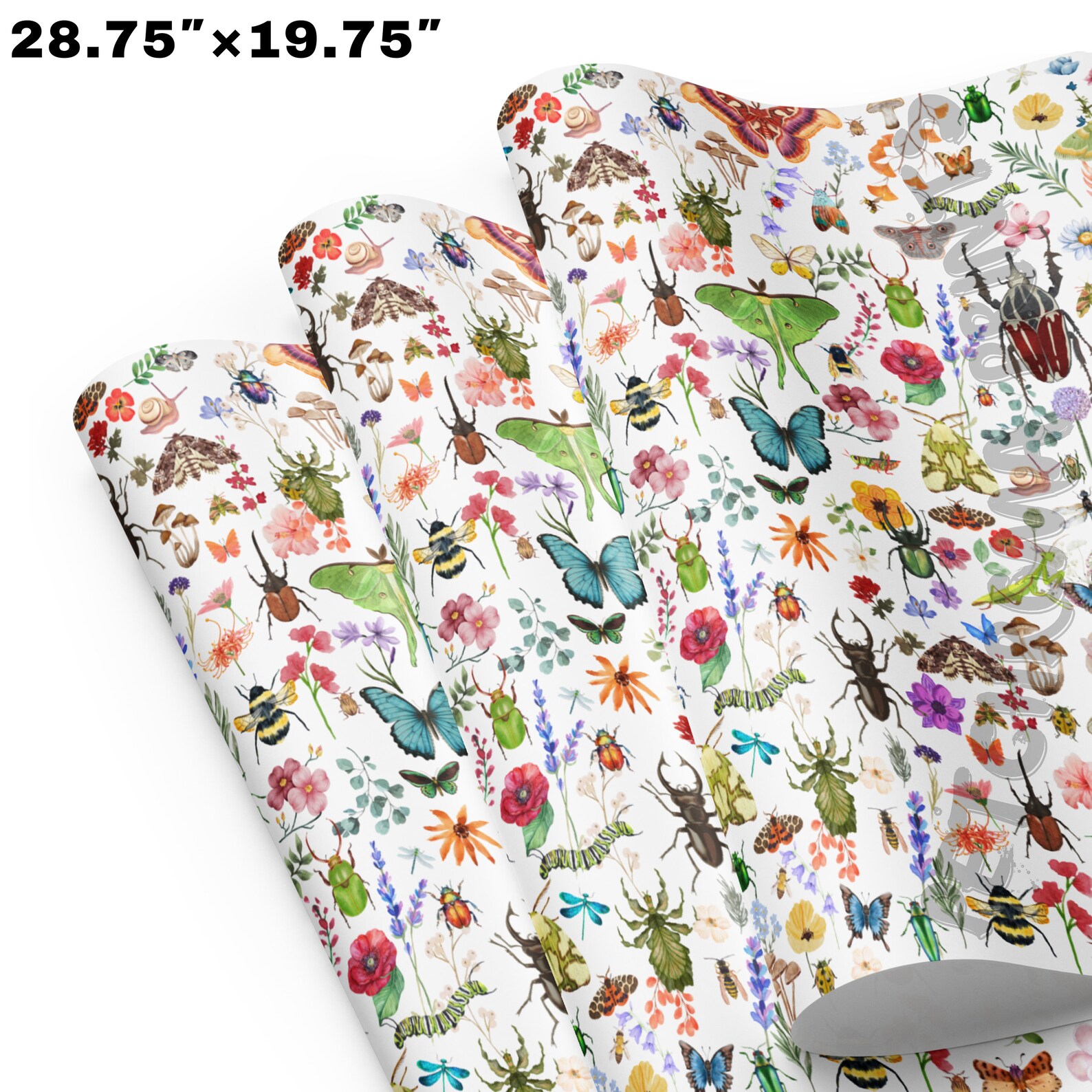 Cute as a Bug Paper Wrapping Paper Sheets! Perfect for Entomologist Bug ...