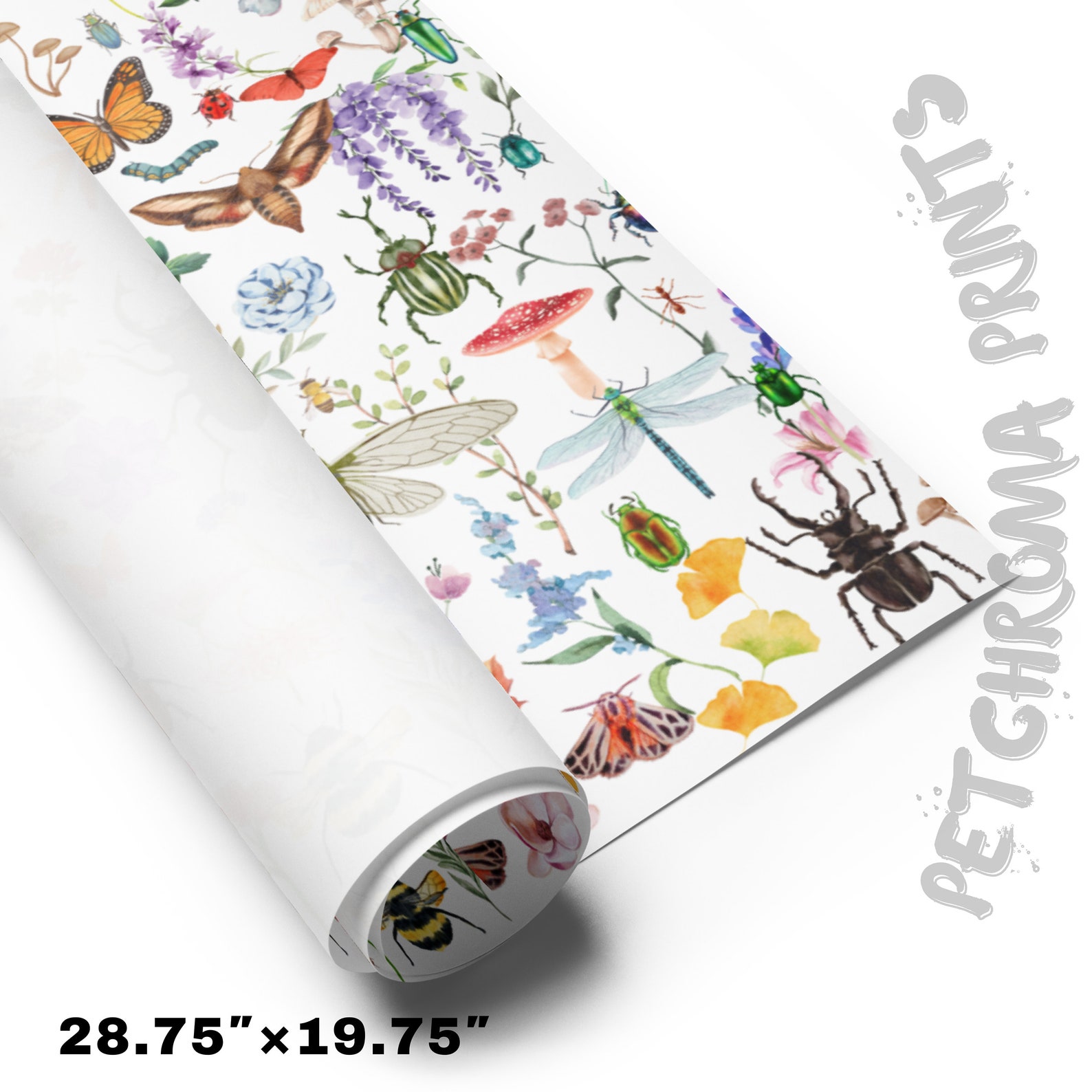 Insect Profile Paper Cute as a Bug Paper Wrapping Paper Sheets! Perfect for Entomologist Bug ...