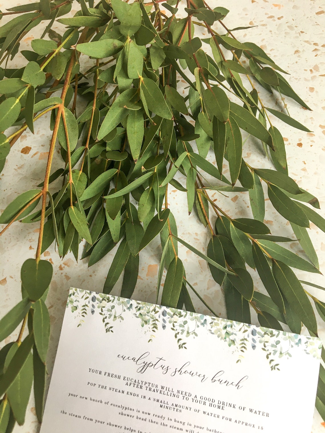 Fresh Shower Eucalyptus Bunch Shower Bundle Aromatherapy Etsy