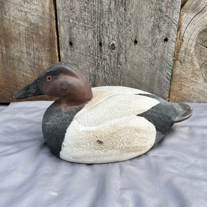 Vintage Canvasback decoy