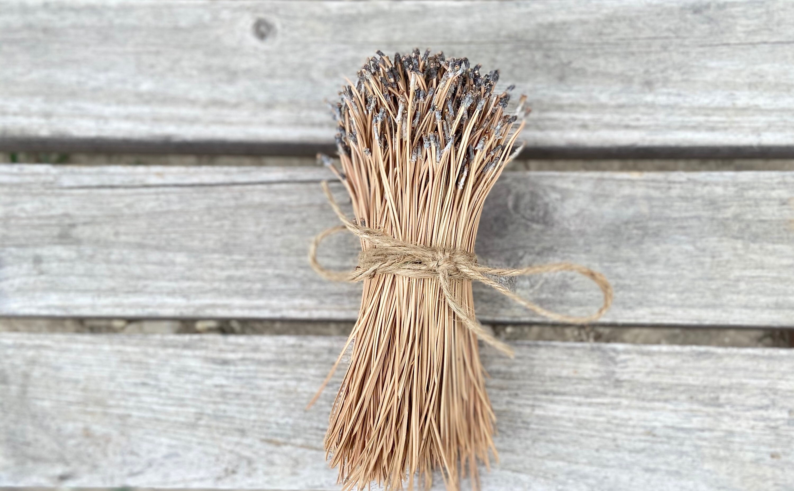 10 bundles of 6 inch pine needles. Etsy