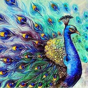 ROLLED Paint By Numbers - Blue Peacock - 40x50cm DIY painting kit - Same day dispatch