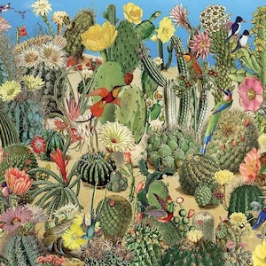 Paint By Numbers - Desert Cacti Field - 40x50cm rolled canvas painting kit - Same day dispatch