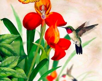 Paint By Numbers - Hummingbird and Butterfly - 40x50cm rolled canvas painting kit - Same day dispatch