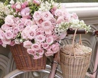 ROLLED Paint By Numbers - Rose Bike - 40x50cm DIY painting kit - Same day dispatch