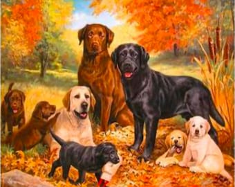 Dog Family Photo Paint By Numbers Kit – 40x50cm DIY Painting