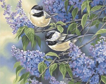 Cute Birds Paint By Numbers Kit – Rolled Canvas, DIY 40x50cm