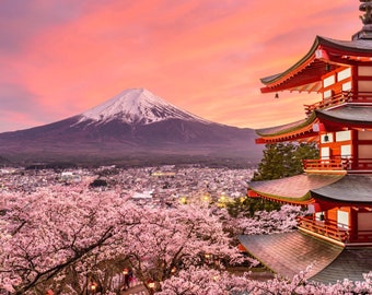 ROLLED Paint By Numbers - Mount Fuji - 40x50cm DIY painting kit - Same day dispatch